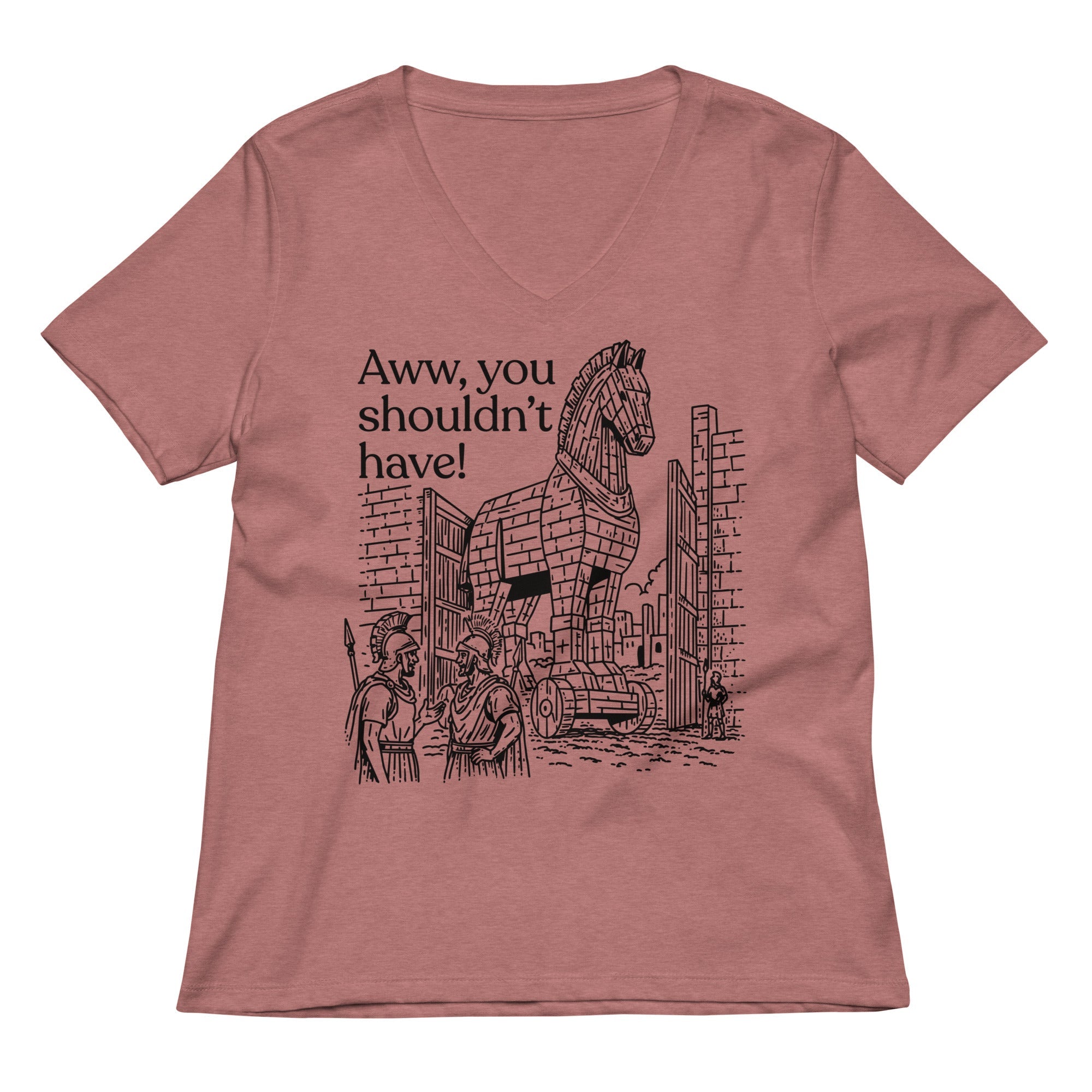 Aww, You Shouldn't Have! Women's V-Neck Tee